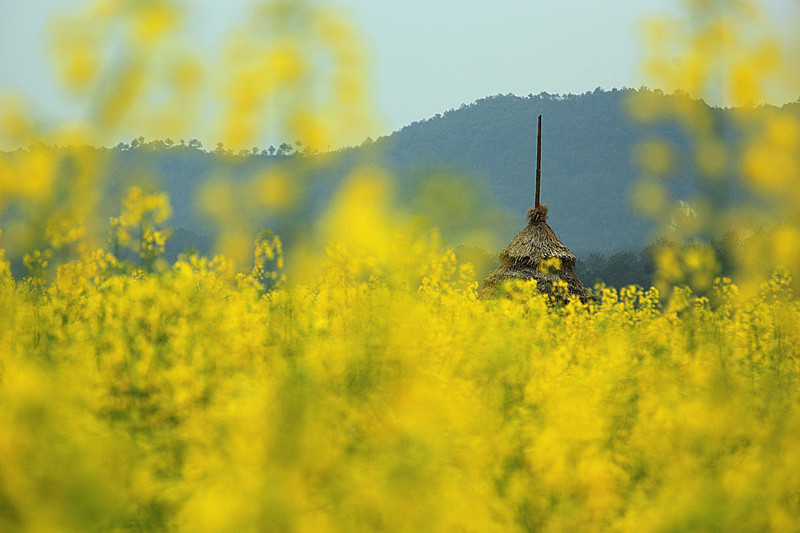 村4.jpg