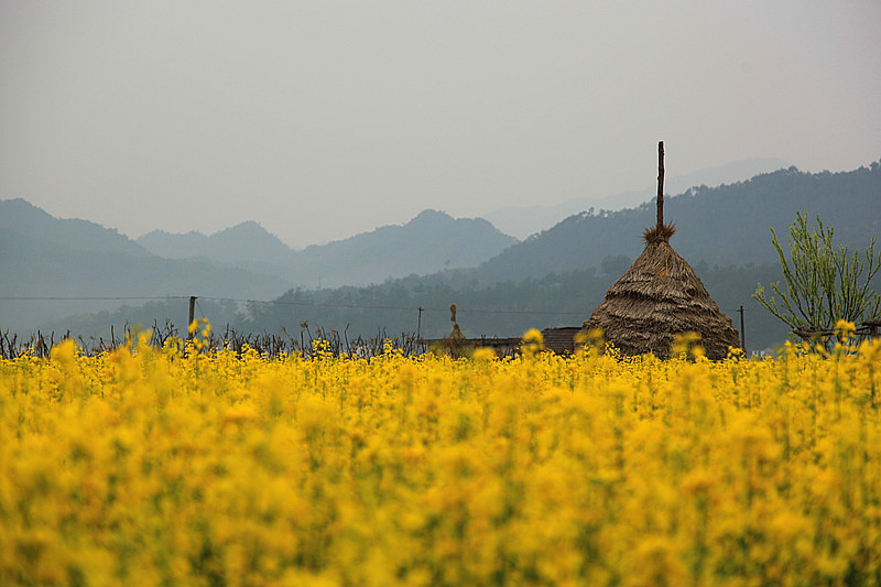 村9.jpg