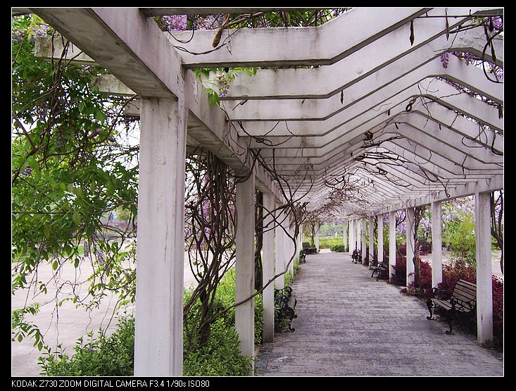 Ƭ 021.jpg