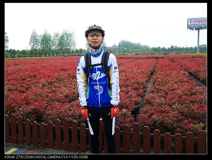 Ƭ 019.jpg