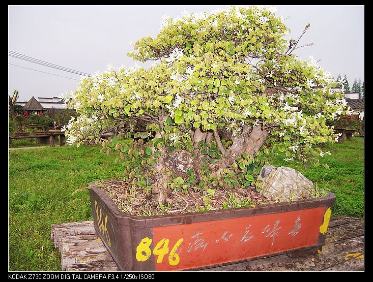Ƭ 025.jpg