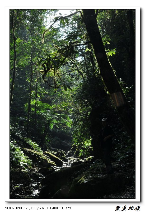 .֮ (44).jpg