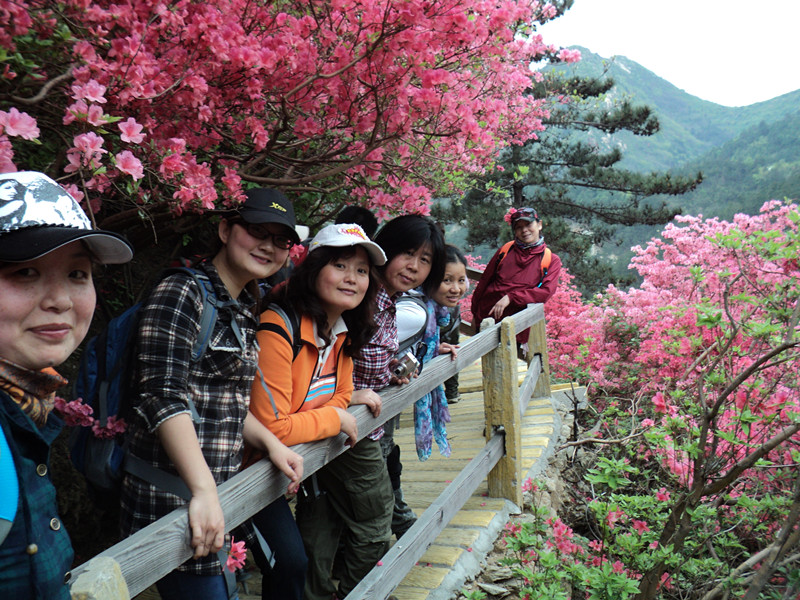 dsc08021_.jpg