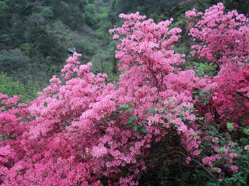 dsc08022_.jpg