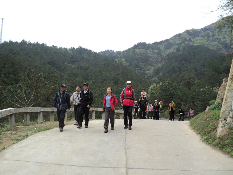 dsc08031_.jpg
