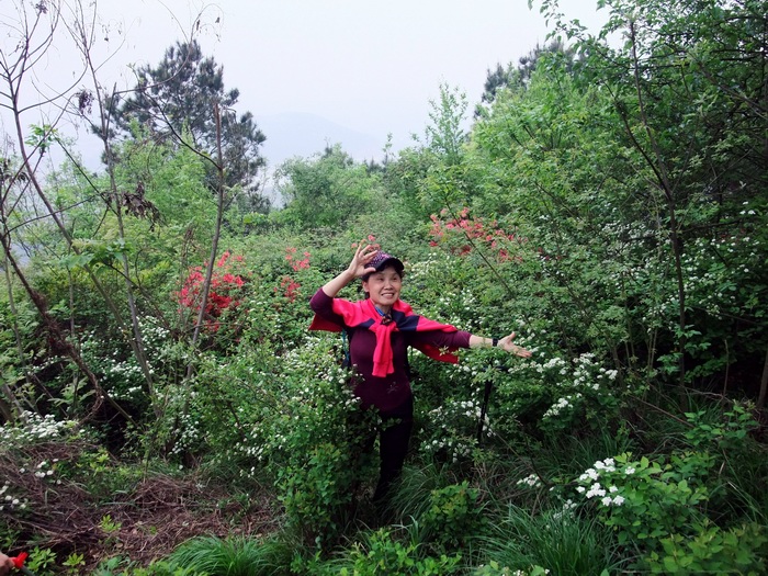 dscf0786.jpg