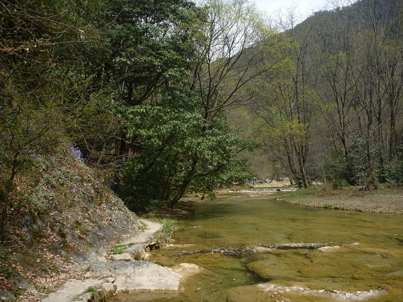 p1110191_.jpg