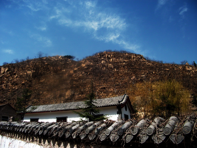 dscf0138.jpg