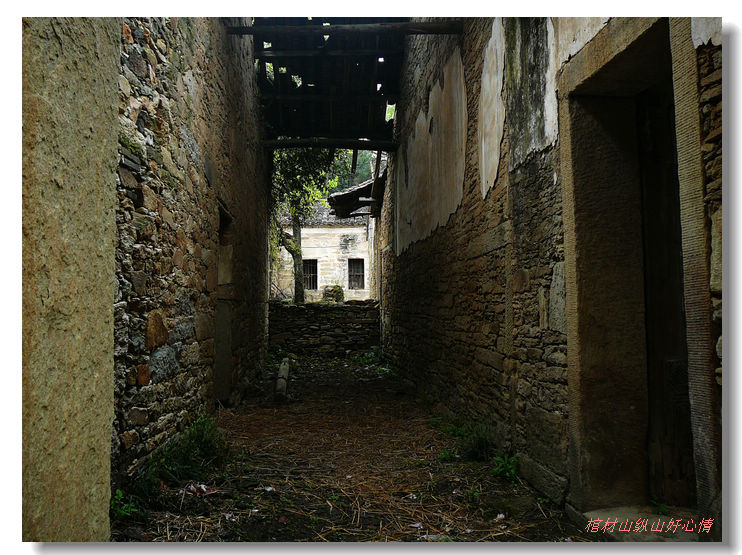 p1420003-.jpg