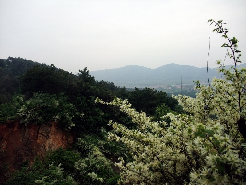 dscf0767.jpg