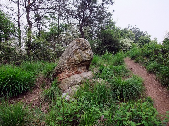 dscf0769.jpg