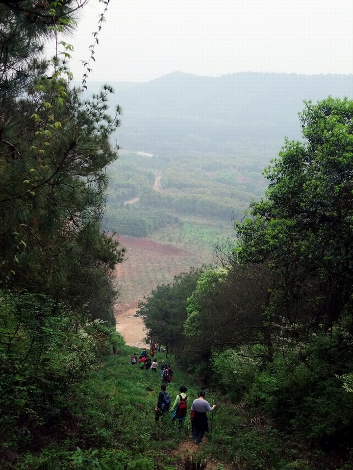 dscf0771.jpg