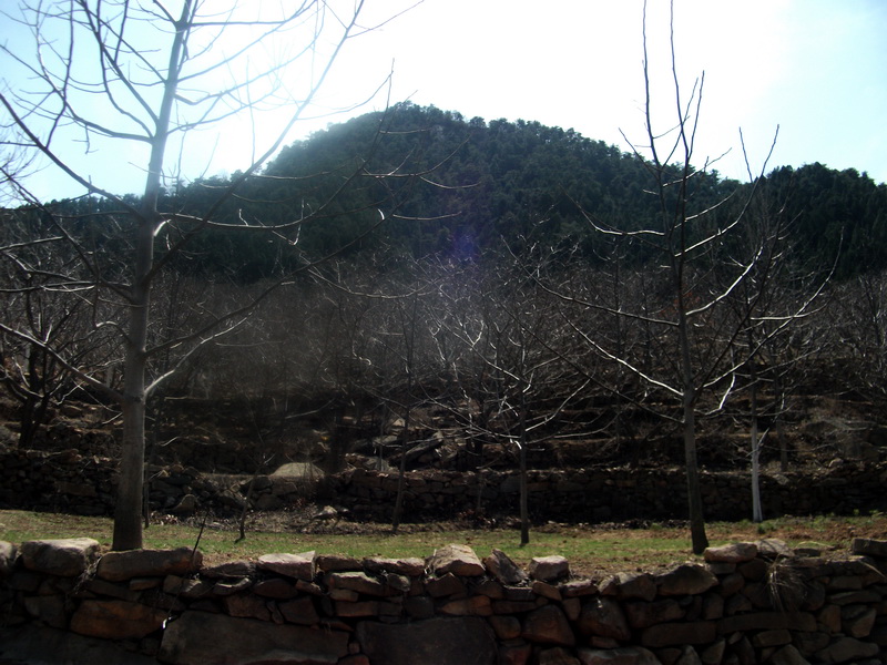 dscf0153.jpg