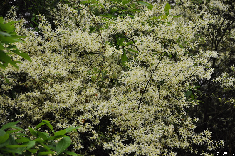 dsc_0503.jpg