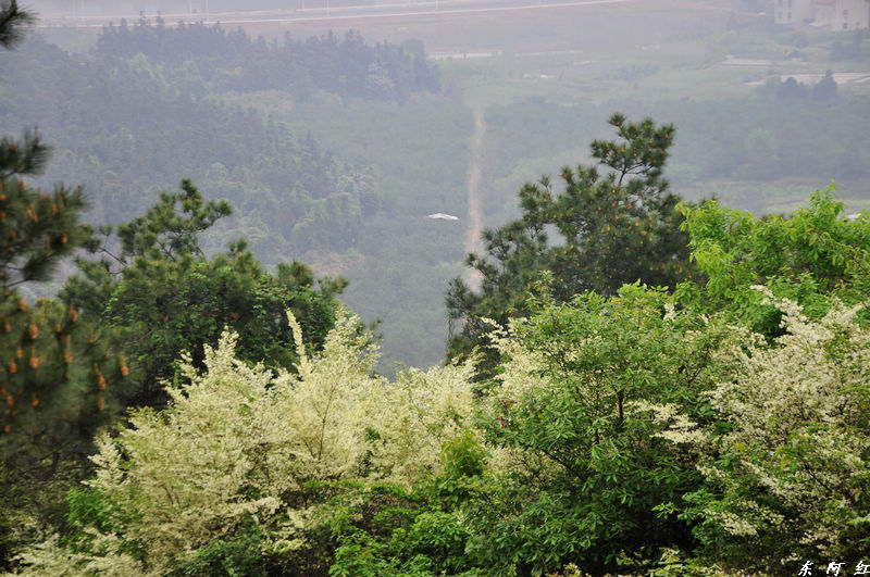 dsc_0509.jpg
