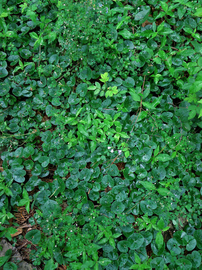 p1030993-1.jpg