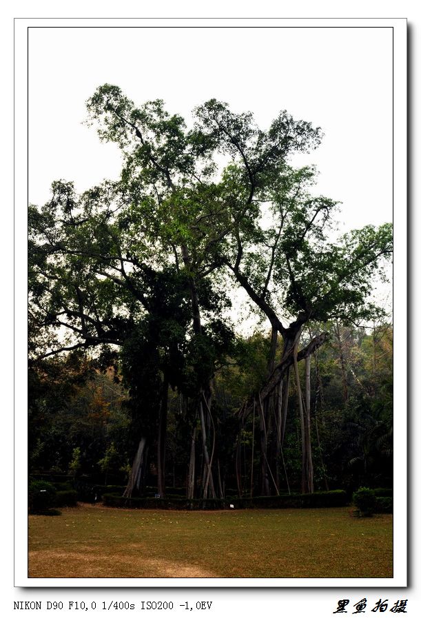 .֮ (75).jpg