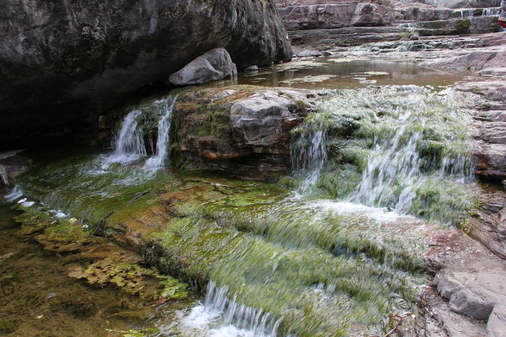 img_8765.jpg