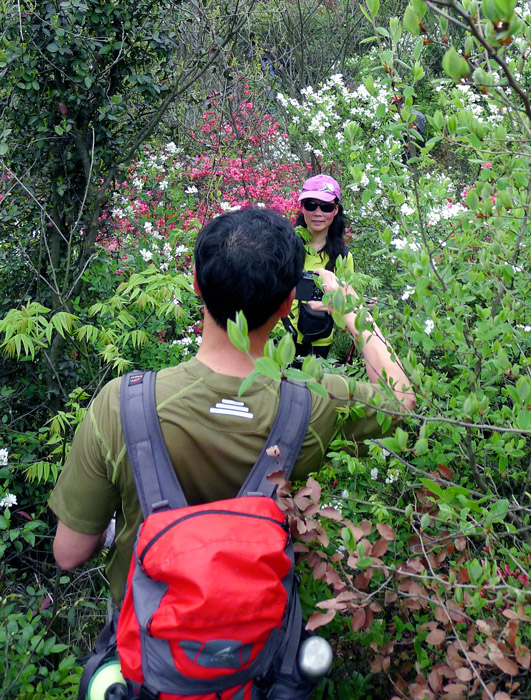p1030968-1.jpg