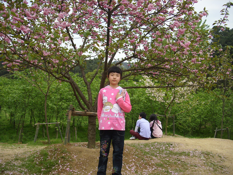dsci2003.jpg
