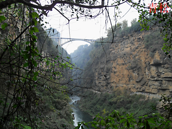 sdc10325.jpg