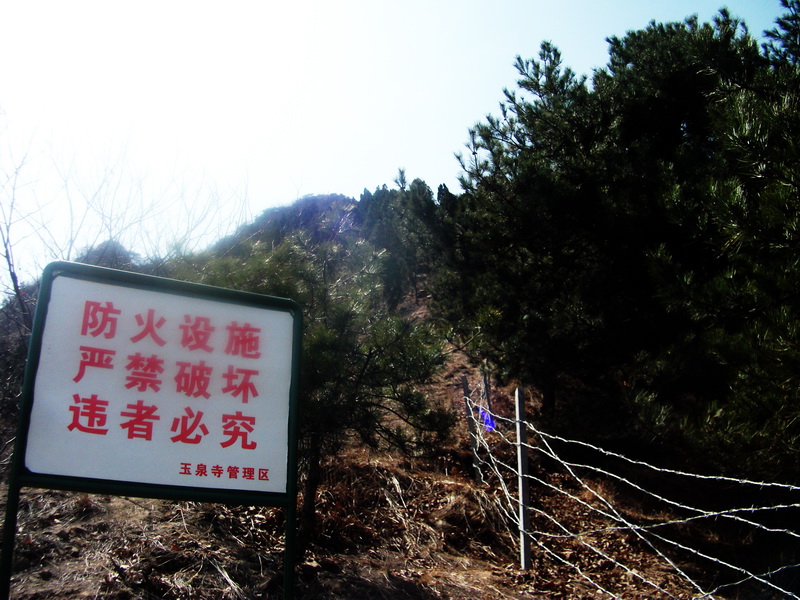 dscf0162.jpg