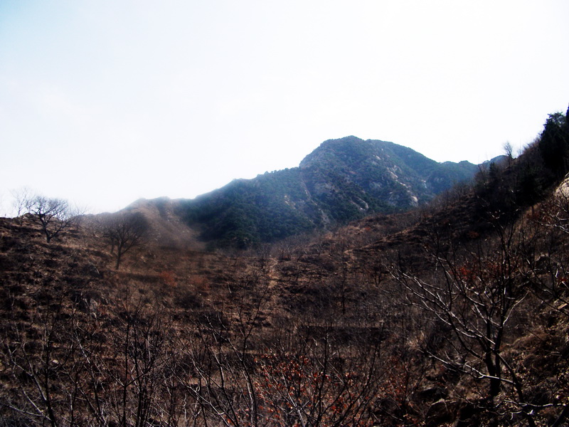 dscf0166.jpg