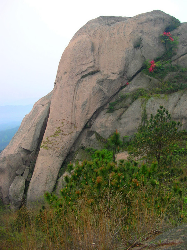 dscn0240_.jpg