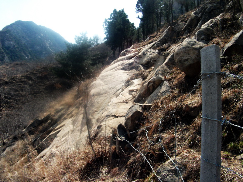 dscf0168.jpg