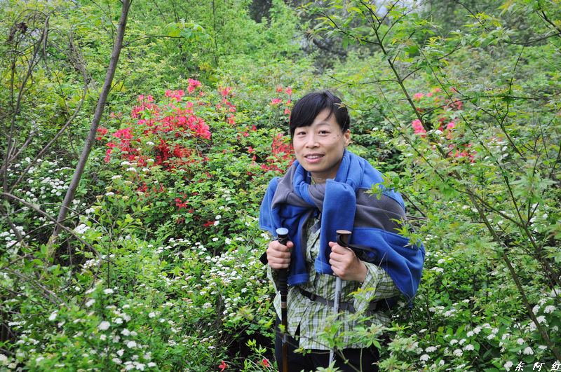 dsc_0594.jpg