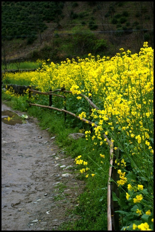 conew_պ̽ 1062_conew1.jpg