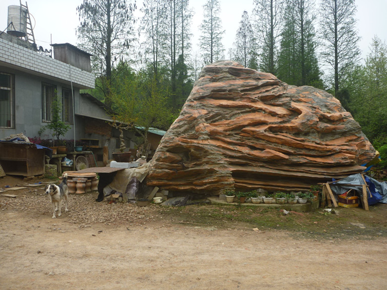 p1110294_.jpg