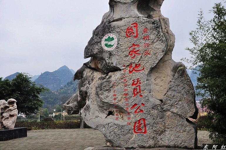 dsc_1004.jpg