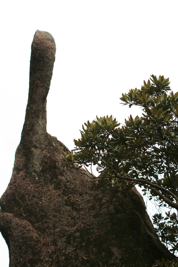 s21,1.jpg