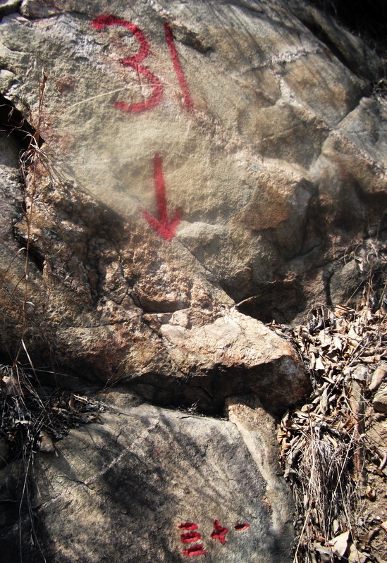 dscf0171.jpg