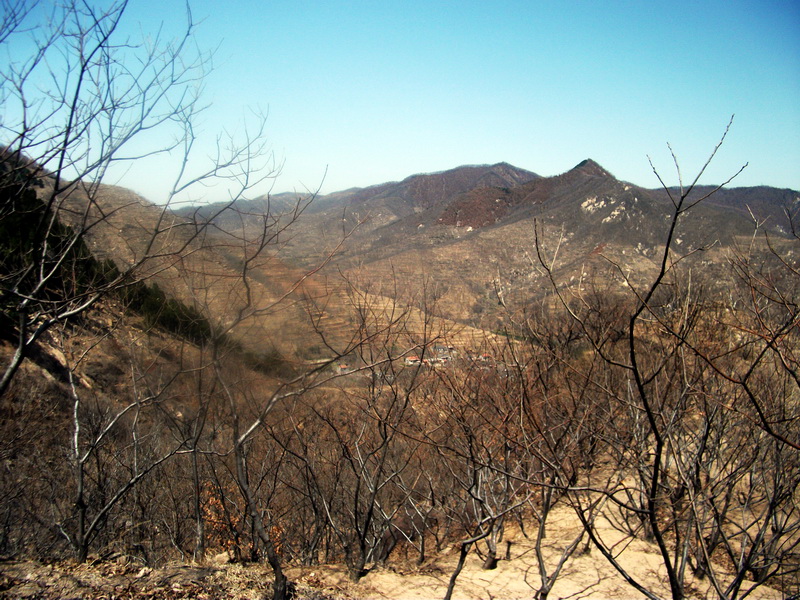 dscf0172.jpg