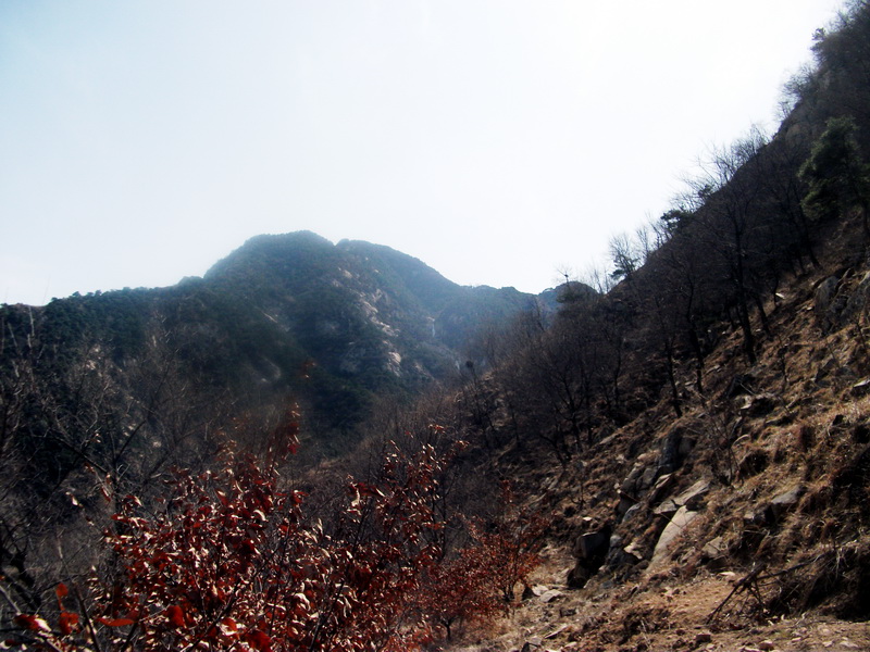 dscf0174.jpg