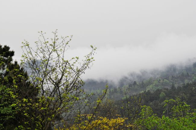 dsc_0108.jpg