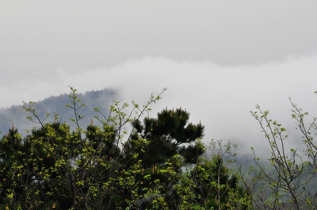 dsc_0109.jpg