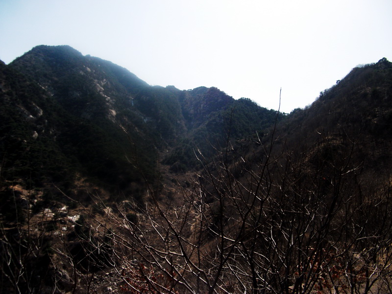 dscf0178.jpg
