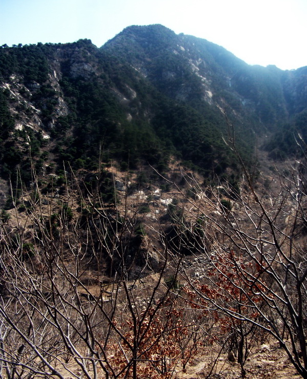 dscf0179.jpg