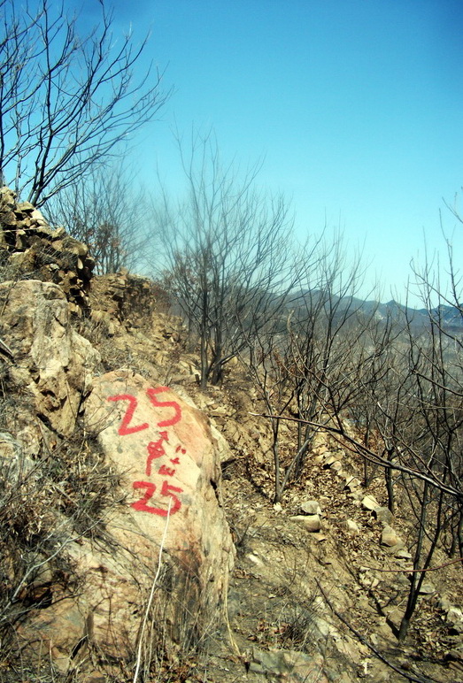 dscf0180.jpg