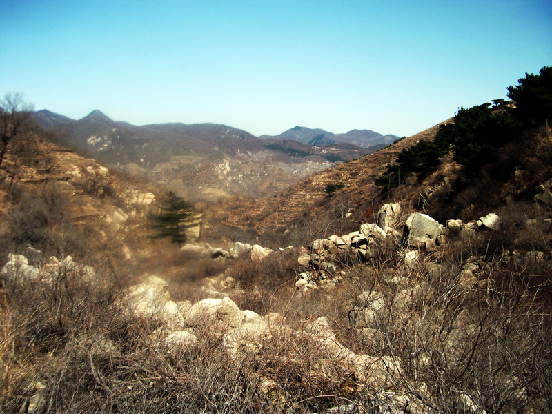 dscf0181.jpg