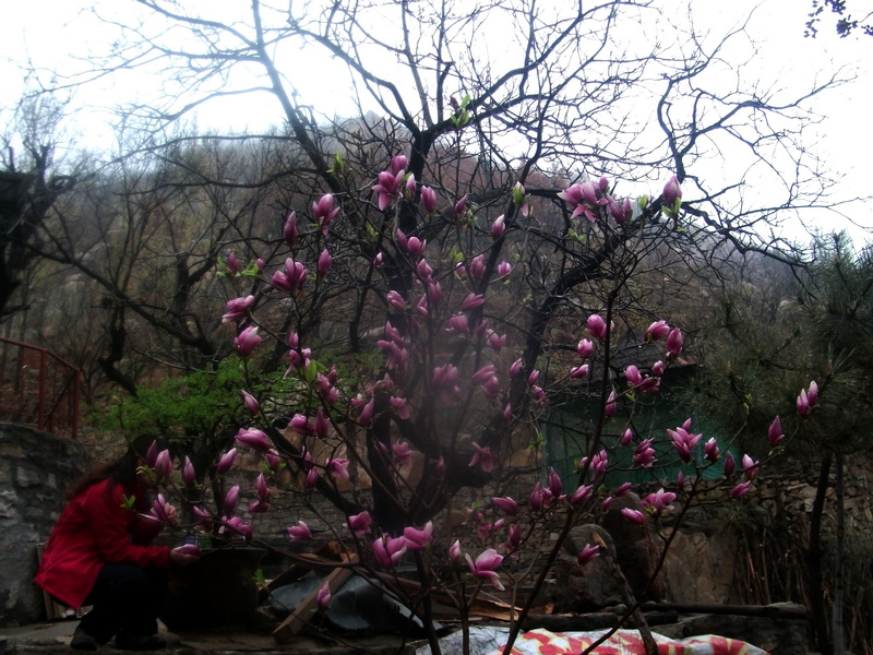 dscf0069.jpg
