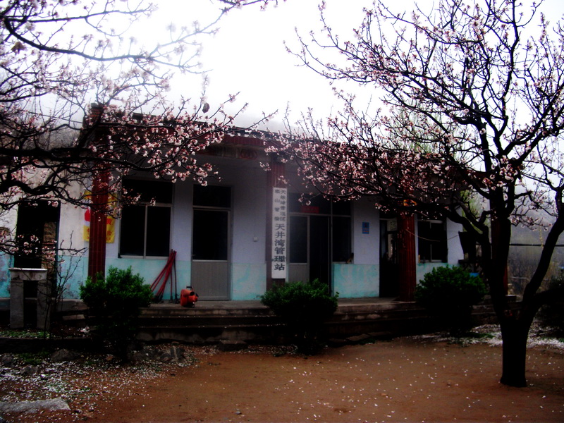 dscf0067.jpg