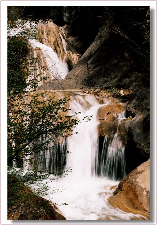 _mg_4213.jpg