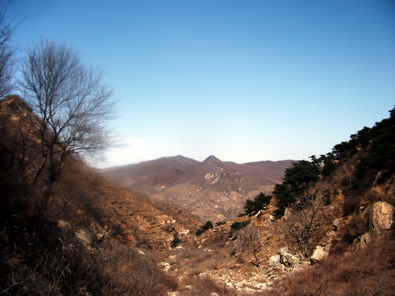 dscf0184.jpg