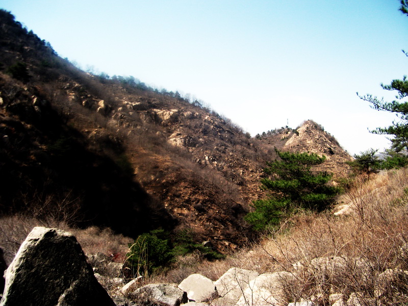 dscf0187.jpg