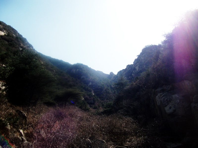 dscf0188.jpg