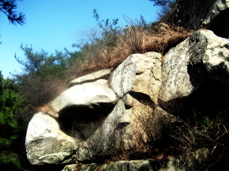dscf0189.jpg